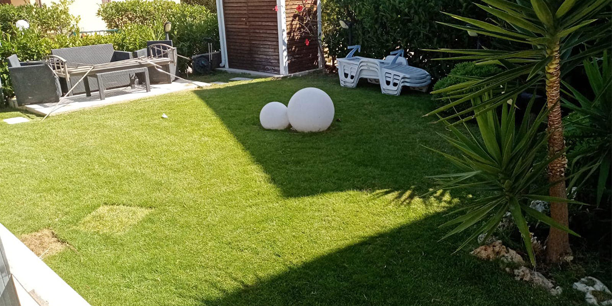 Sistemazione erbetta naturale in giardino