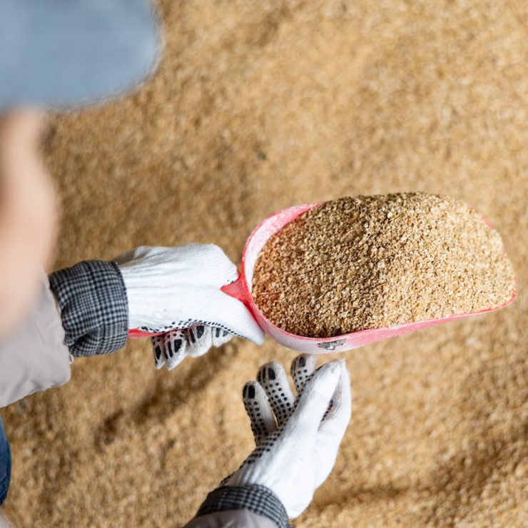 mangimi e zootecnica Campofelice di Roccella - Agri Imera vivaio Termini Imerese